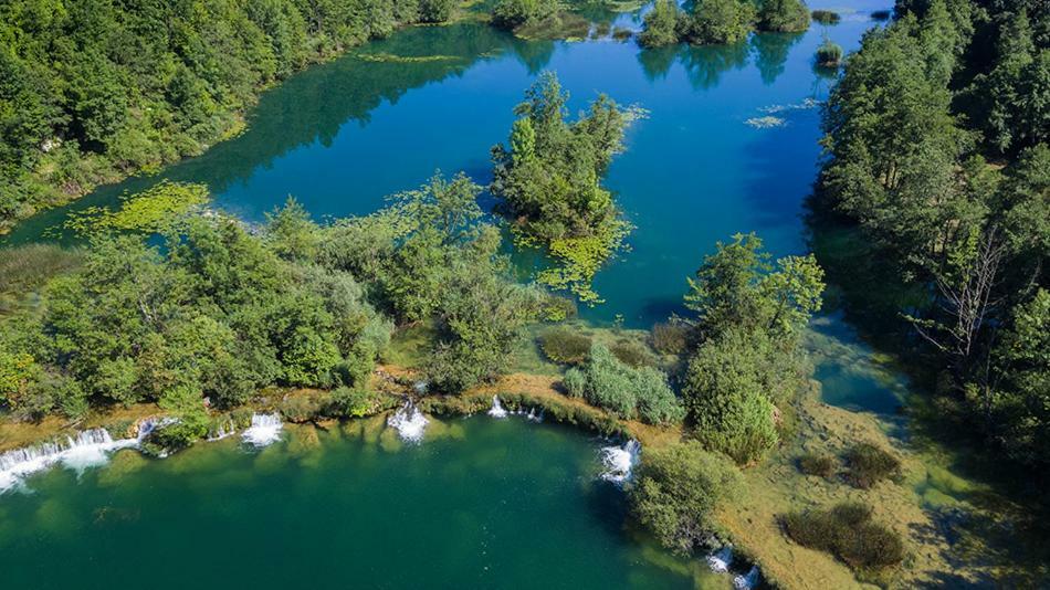 Kuca Za Odmor Zeleni Biser Villa Generalski Stol Buitenkant foto